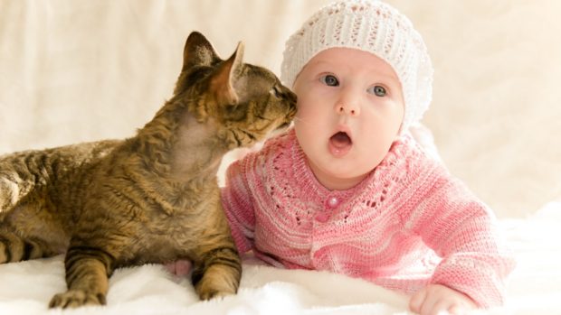 La convivencia de un gato y tu bebé