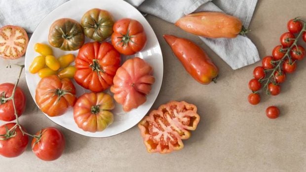 Receta de coca de hojaldre con tomates y Philadelphia