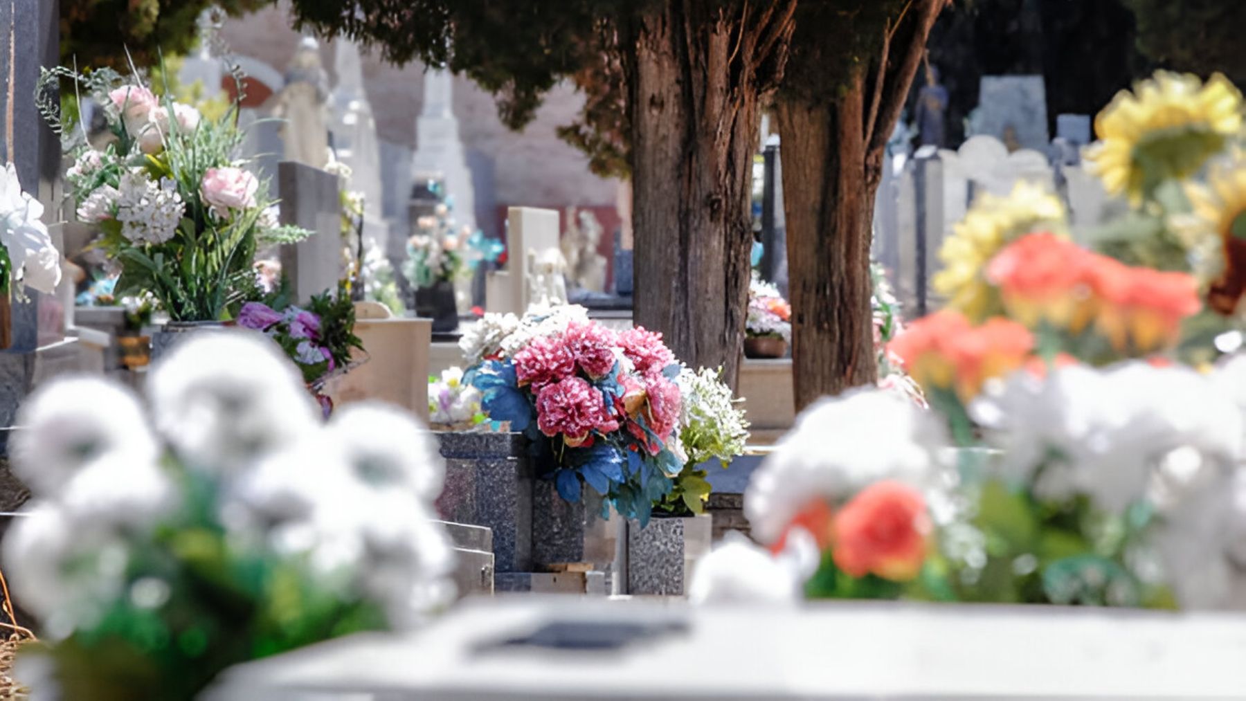 Flores en un cementerio.