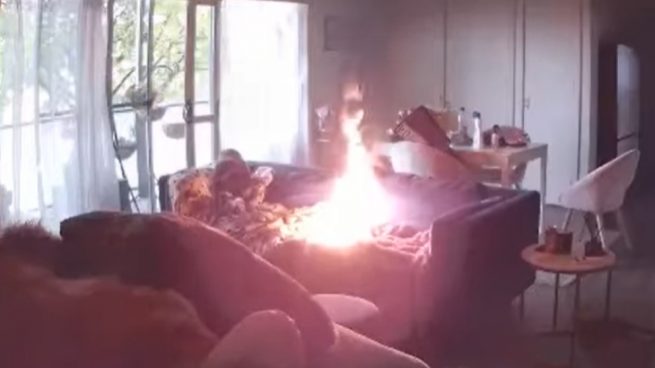 Facebook: Un perro pirómano incendia el sofá con un mechero