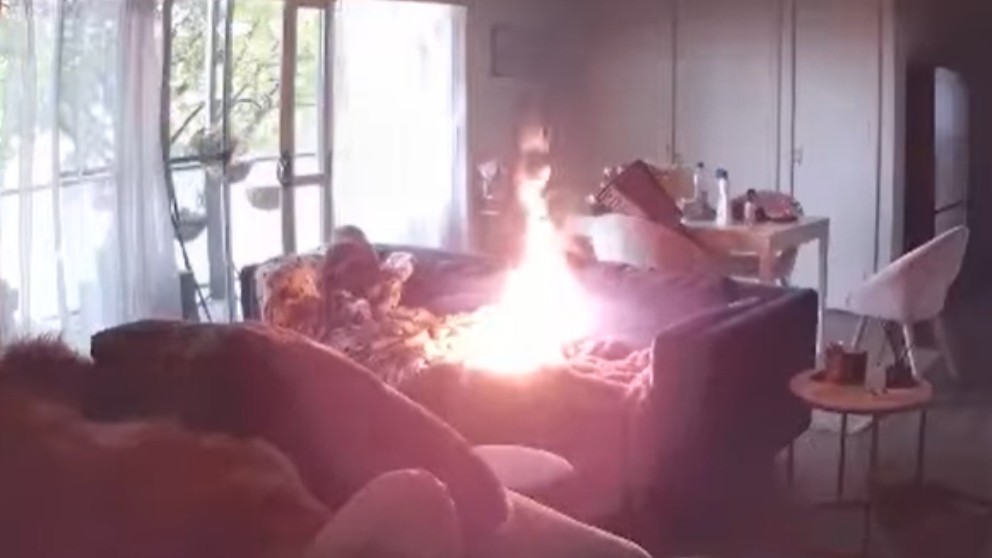 Facebook: Un perro pirómano incendia el sofá con un mechero