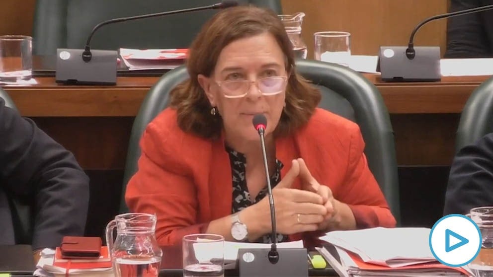 La concejal del PSOE en Zaragoza, Inés Ayala.
