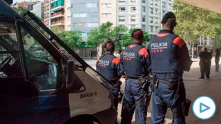mossos