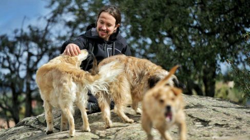 Pablo Iglesias junto a sus perros Leona, Rumba y Tirso, en la jornada de reflexión.