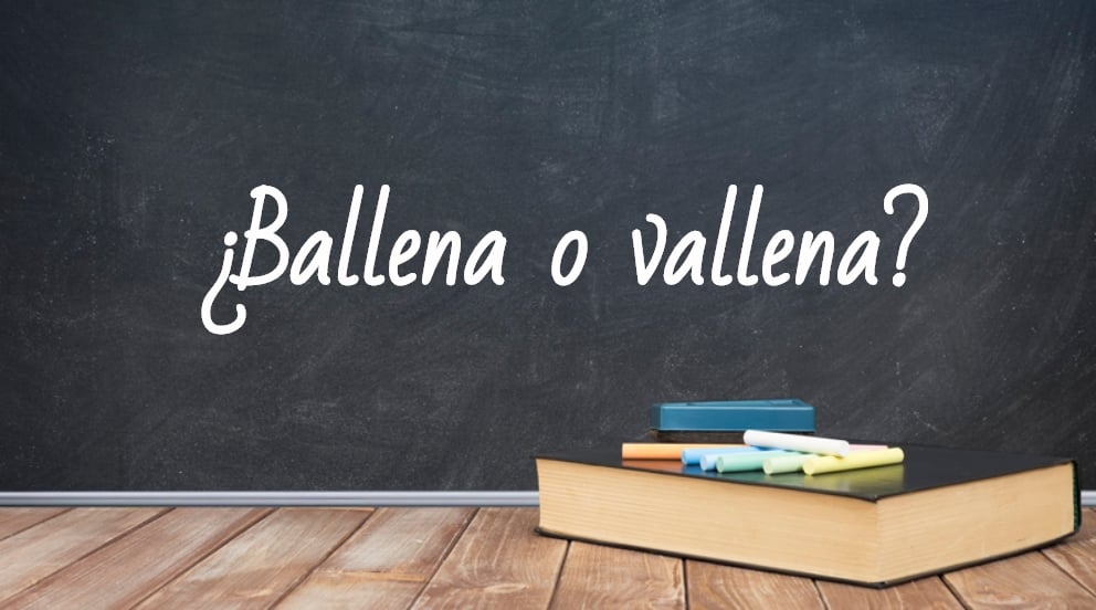 Se escribe ballena o vallena