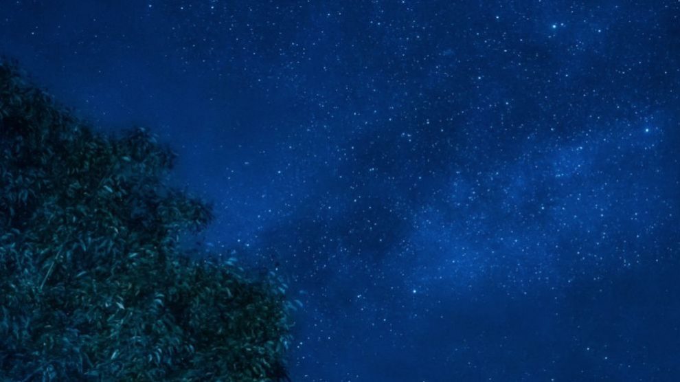 Leónidas 2019: cómo y dónde ver la lluvia de estrellas
