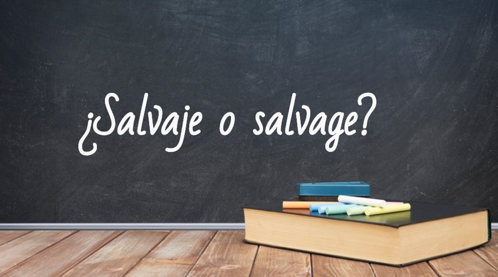 Se escribe salvaje o salvage