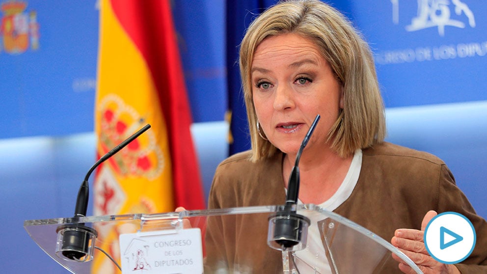 La diputada de Coalición Canaria Ana Oramas, durante la rueda de prensa celebrada hoy viernes en el Congreso de los Diputados. (Foto: EFE).