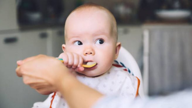 como ir introducir alimentos solidos al bebe como ir introducir alimentos solidos al bebe