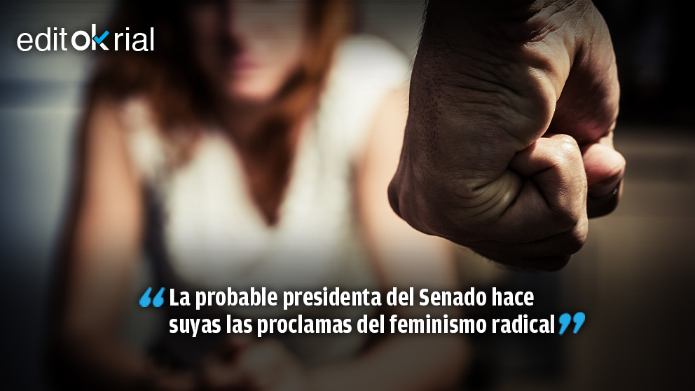 ¡Menudo argumento!: hay violencia de género porque todos los hombres son violentos