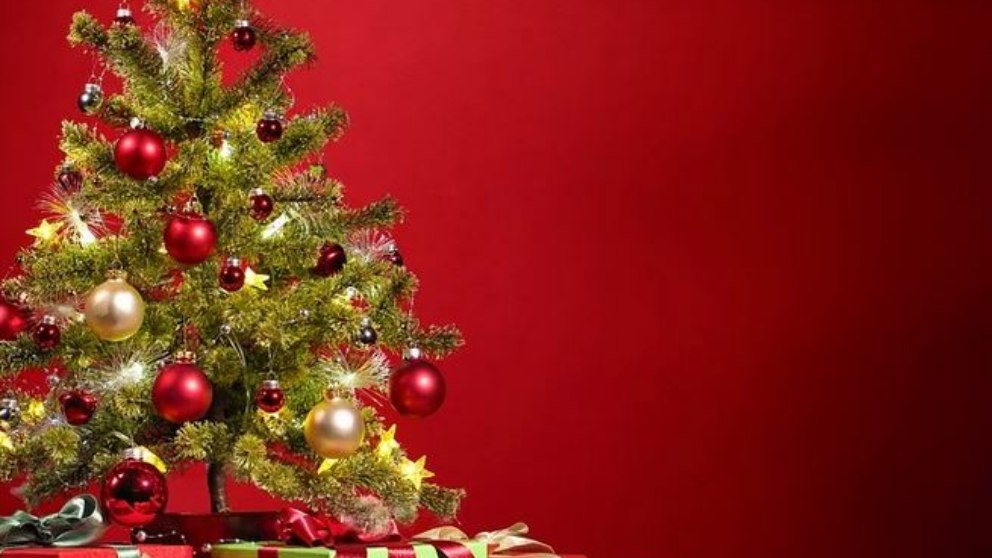 ¿Cuál es el origen del árbol de Navidad?