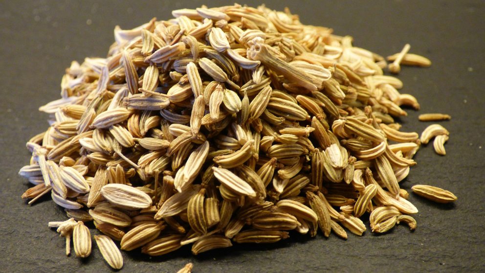 Beneficios para la salud de las semillas de hinojo