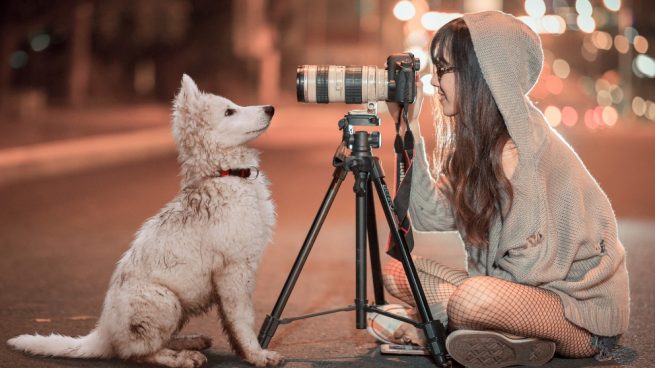¿Cómo fotografiar a tu mascota?