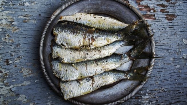 Sardinas en salmuera