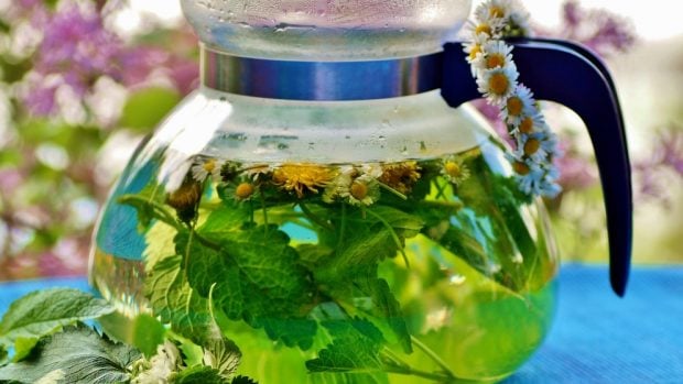 Infusiones para concentrarse