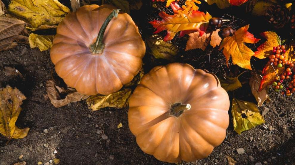 Las pipas de calabaza son perfectas para un montón de platos