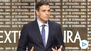 Pedro Sánchez