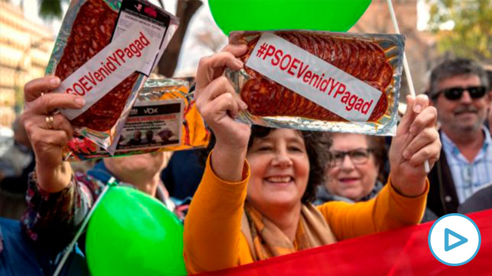 Imagen de la manifestación de Vox en Andalucía. Foto: EP