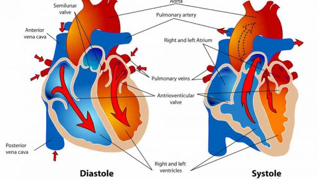 Arritmias: la fibrilación auricular