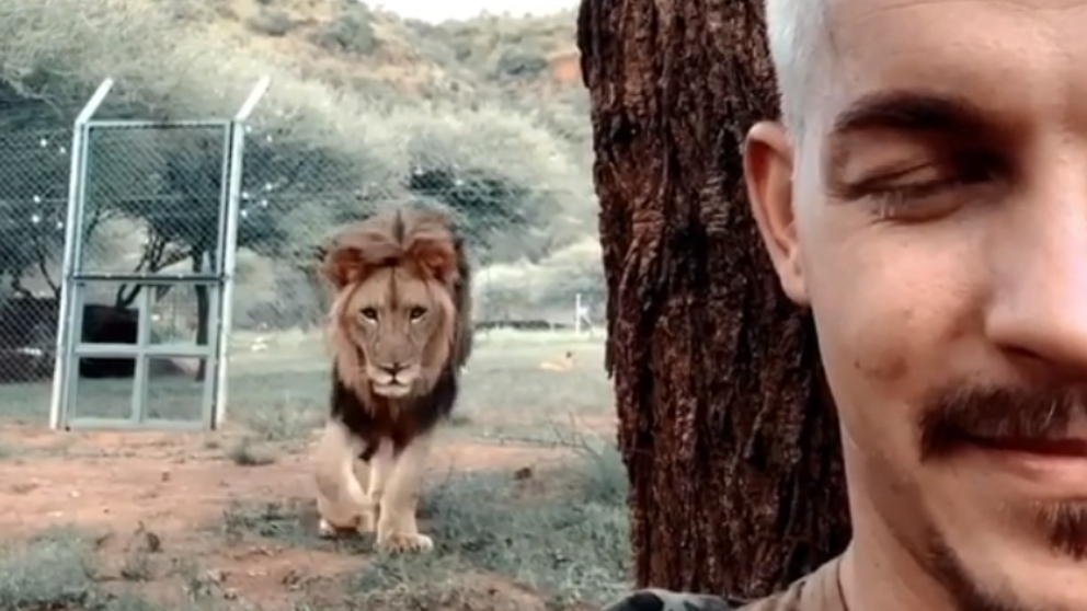 Facebook: Arriesga su vida para hacerse un selfie con un león