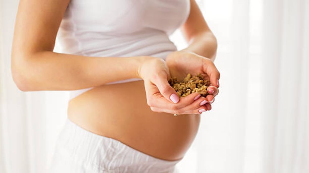 Descubre como una buena nutrición durante el embarazo hará al bebé más iinteligente