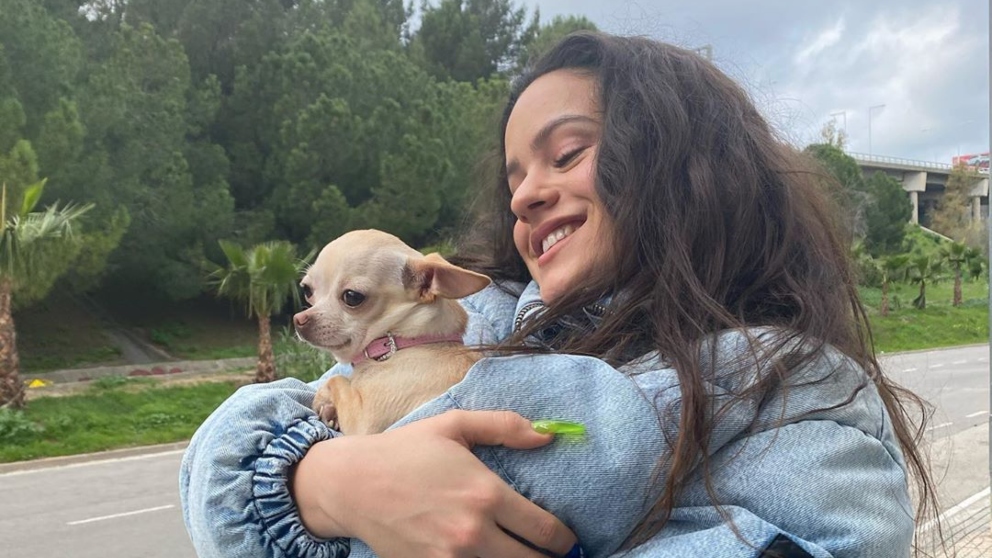 Instagram: Rosalía presenta a su mejor amigo desatando la polémica