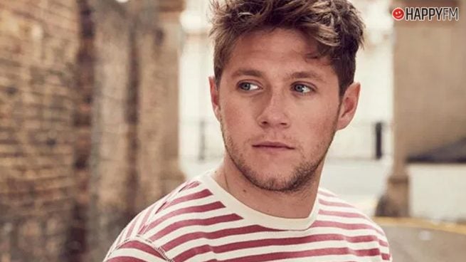 Niall Horan, ¿atacado por Hailee Steinfeld en su nueva canción?