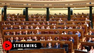 diputados