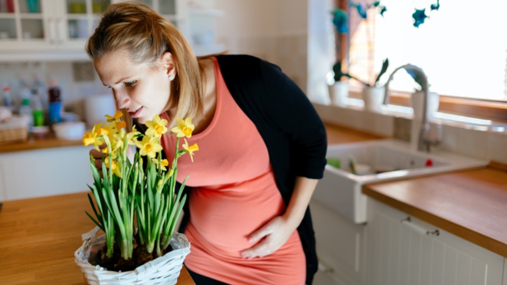 Cambios del gusto y el olfato durante el embarazo