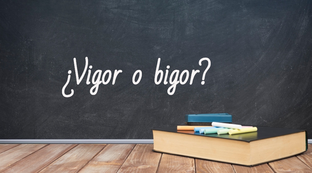 Se escribe vigor o bigor