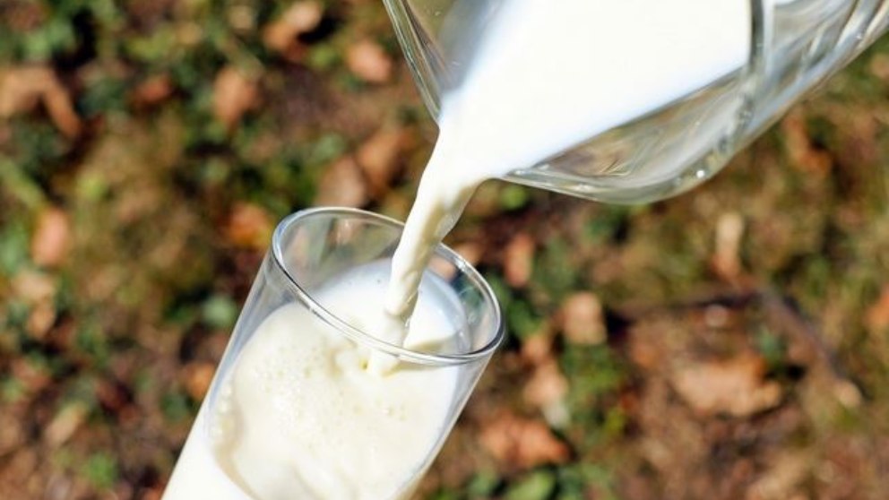 Lácteos: tipos y por qué debemos tomarlos