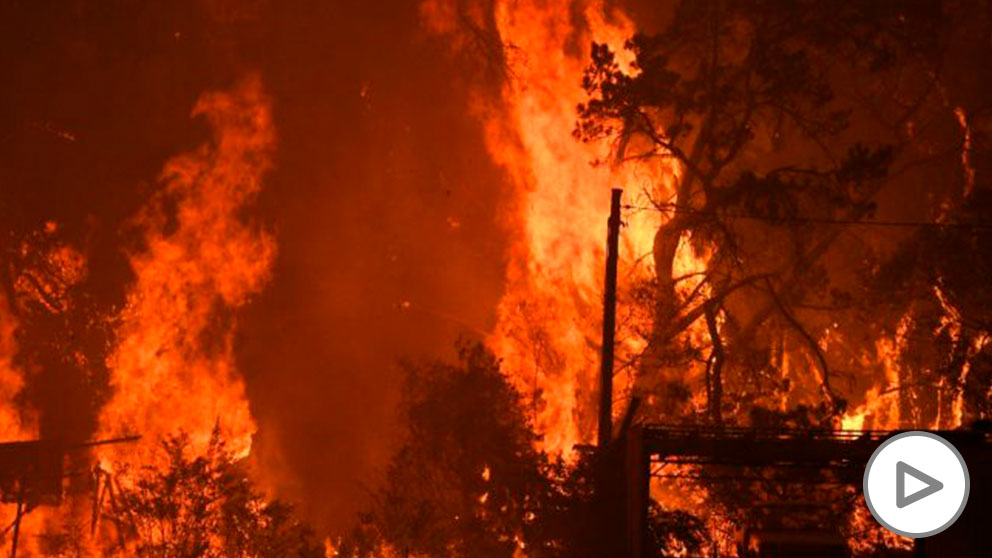 Imagen de los incendios en Australia. Foto: EP
