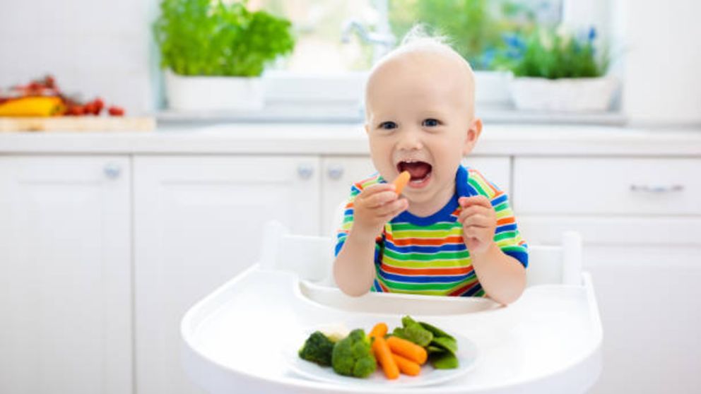 Descubre si es posible o no la dieta vegana en niños