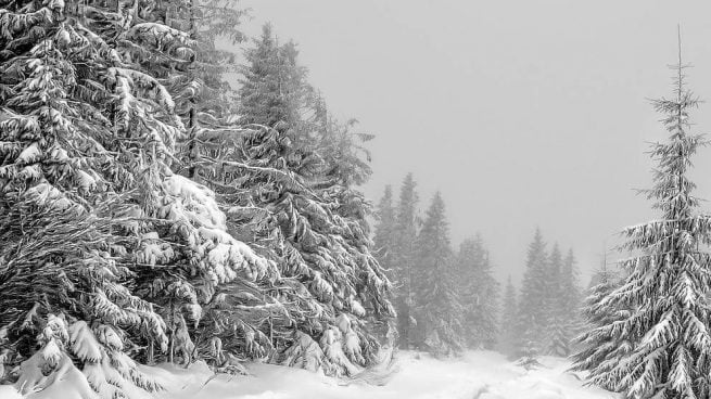 adelgazar en invierno
