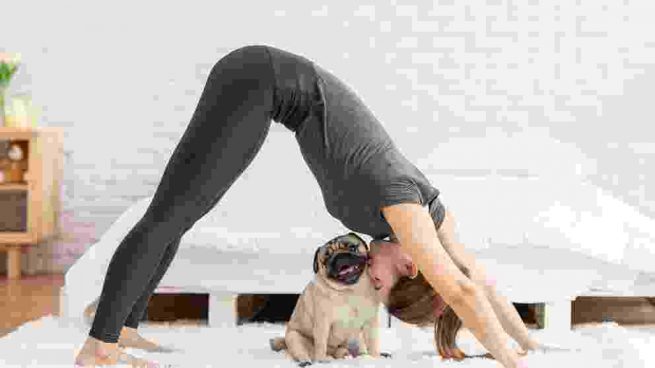 Yoga con perro