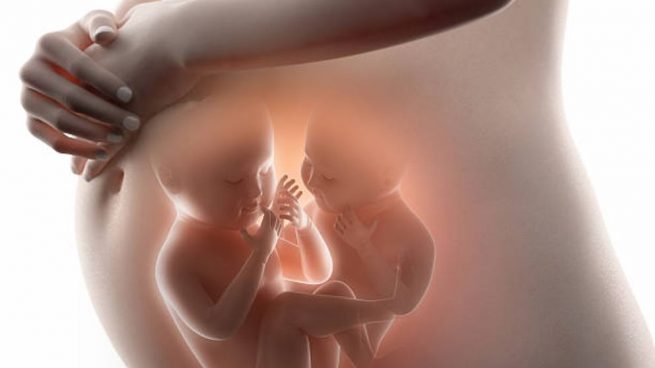 embarazo de gemelos