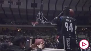 robot triples