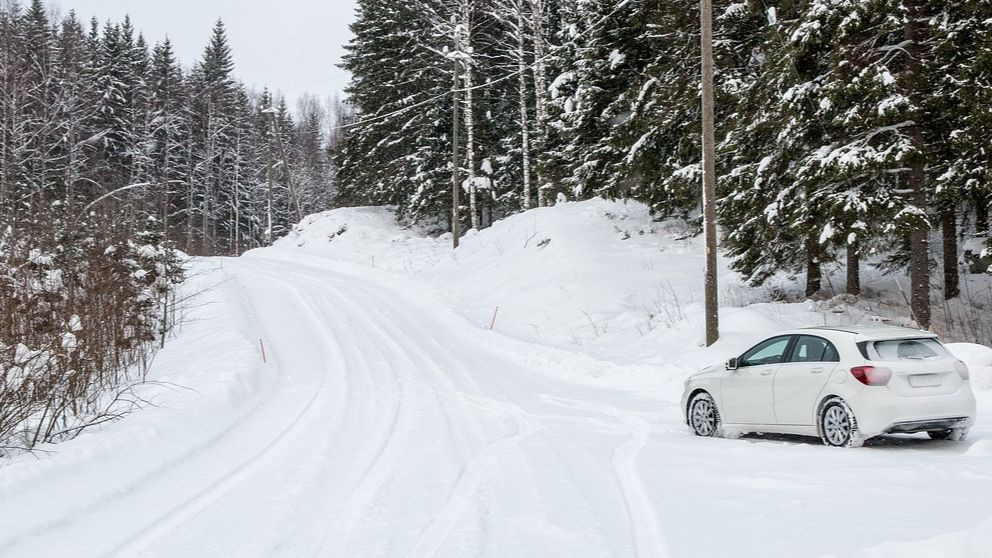 Temporal de nieve