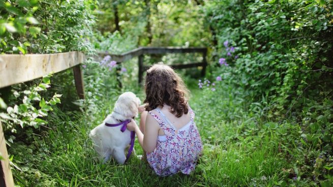 Plantas con riesgo para cachorros