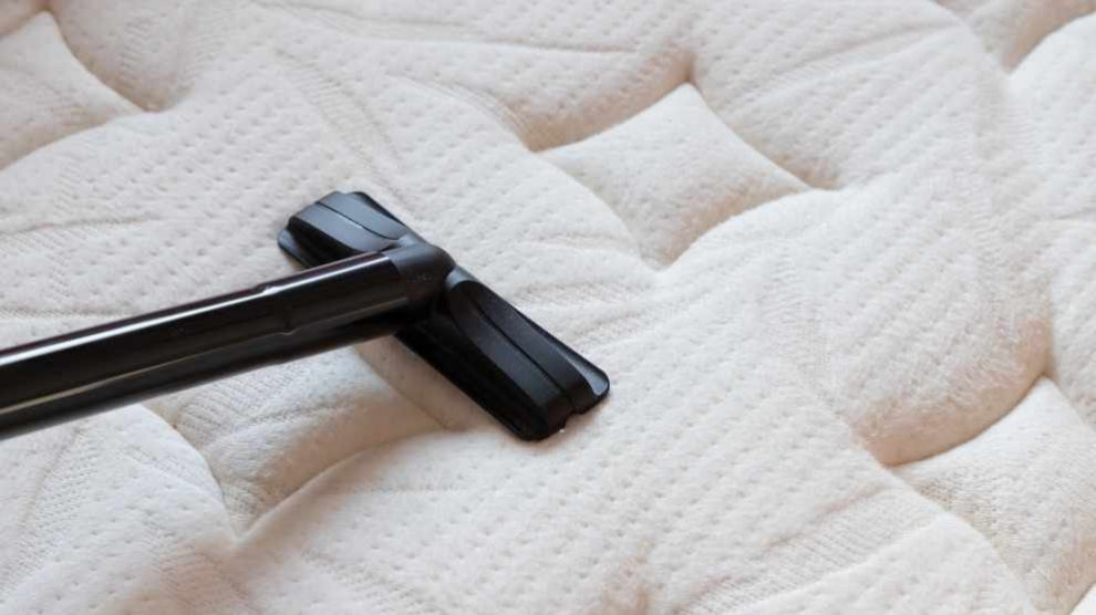 ¿Cómo controlar la alergia a los ácaros?