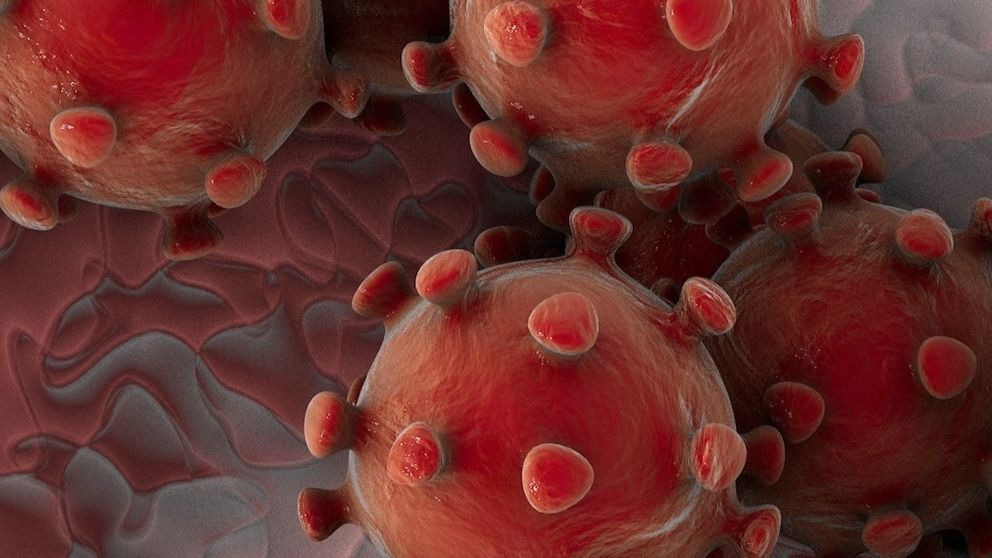 ¿Puede llegar el coronavirus a España ¿Hay riesgo real