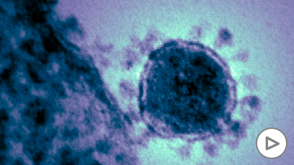 Imagen de archivo de un coronavirus como el detectado en China. (Ep)