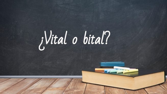 Cómo se escribe vital o bital