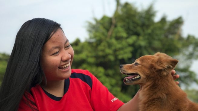 pueden los perros tener acné quístico