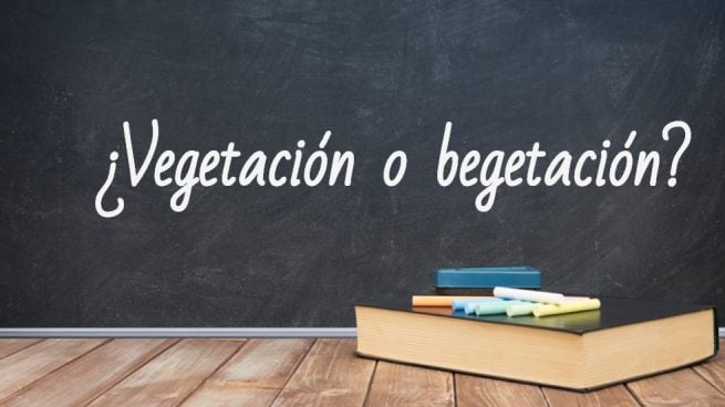 Cómo se escribe vegetación o begetación