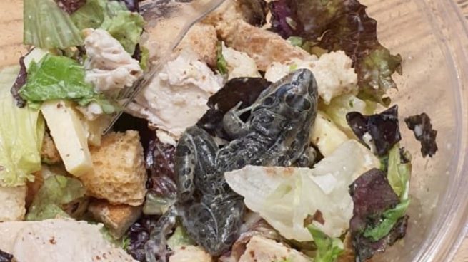 Facebook: Encuentran una rana en una ensalada fresca