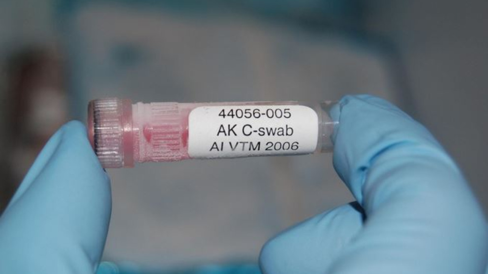 El coronavirus no es la primera: ¿Qué otras emergencias sanitarias internacionales ha dictado la OMS?