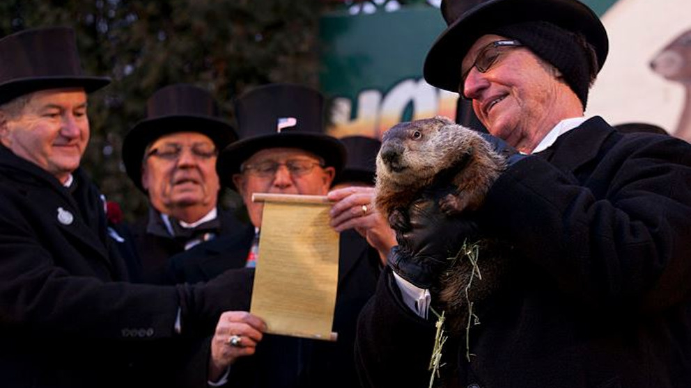 La marmota Phil predice que la primavera llegará pronto