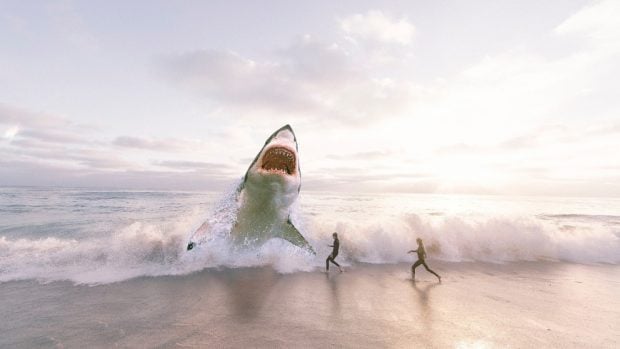 El depredador tiburón blanco