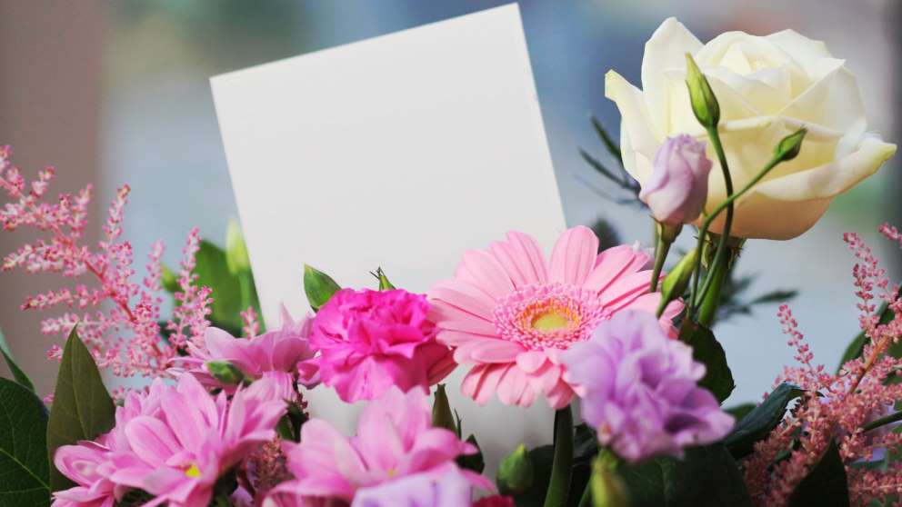Las plantas son un regalo bonito y llamativo para cualquier ocasión